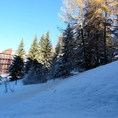 Apartment Aiguille Grive Bat Iii - 2 Pieces 6 Personnes En Duplex, Skis Aux Pieds, Dans Le Village De Charmettoger A Arc 1800 Mae-2037 *